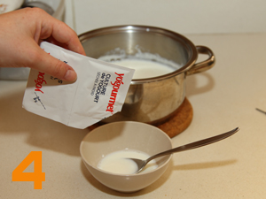yogurt4