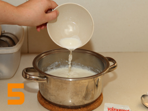 yogurt_5